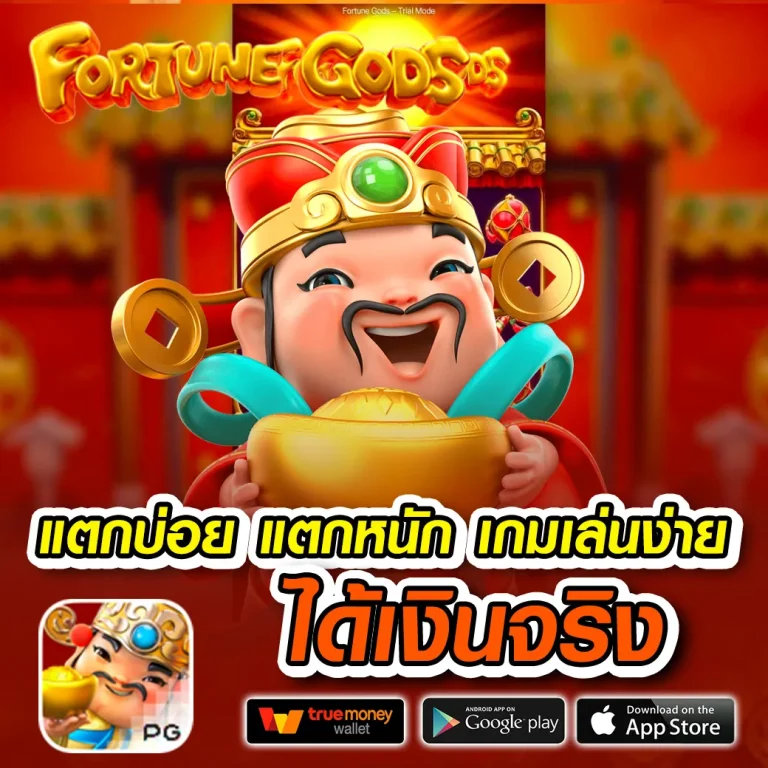 allin99my ทางเข้า